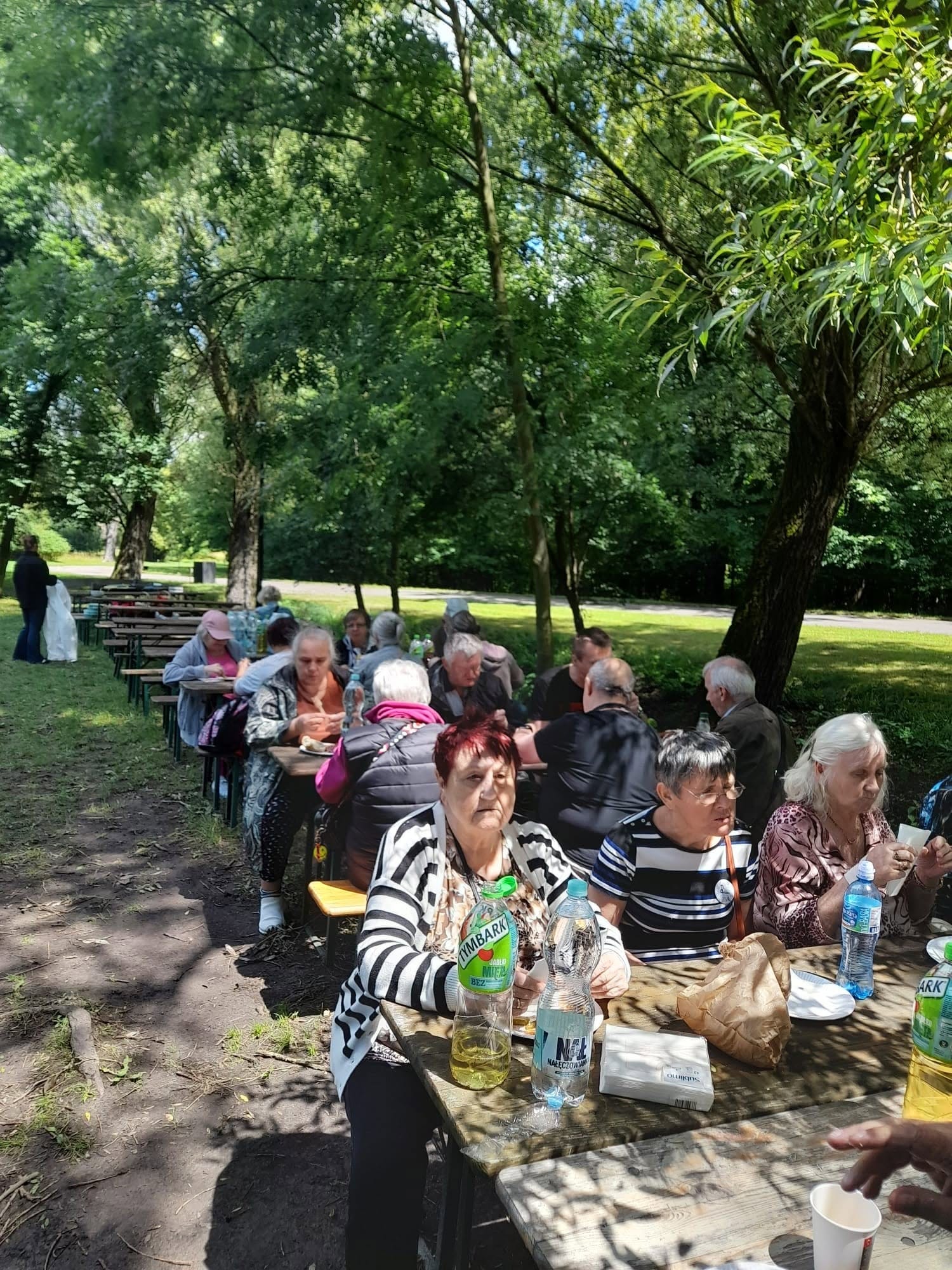 Duża grupa seniorów siedząca przy długich drewnianych stołach podczas plenerowego posiłku w parku, w cieniu drzew.